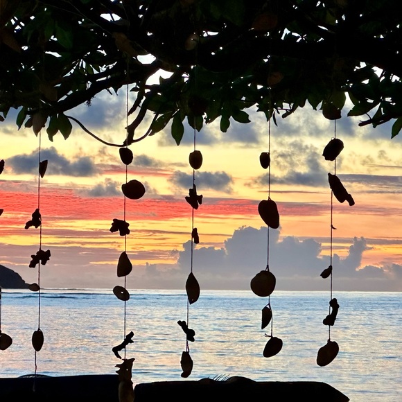 Meet your Posher, Katalin - Picture 2 of 5